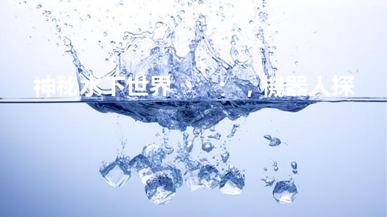 神秘水下世界，機器人探秘的奇幻之旅！